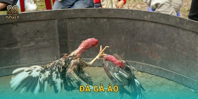 Đá gà ảo – Giải trí mọi lúc với công nghệ tại 88goals