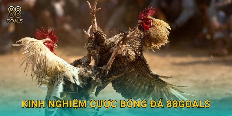 Kinh nghiệm cược bóng đá 88goals