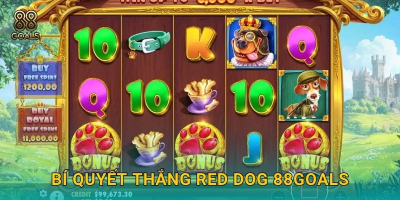 Bí quyết thắng Red Dog 88goals